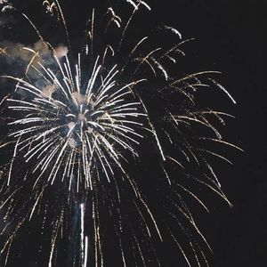 xxx88视频在线观看
